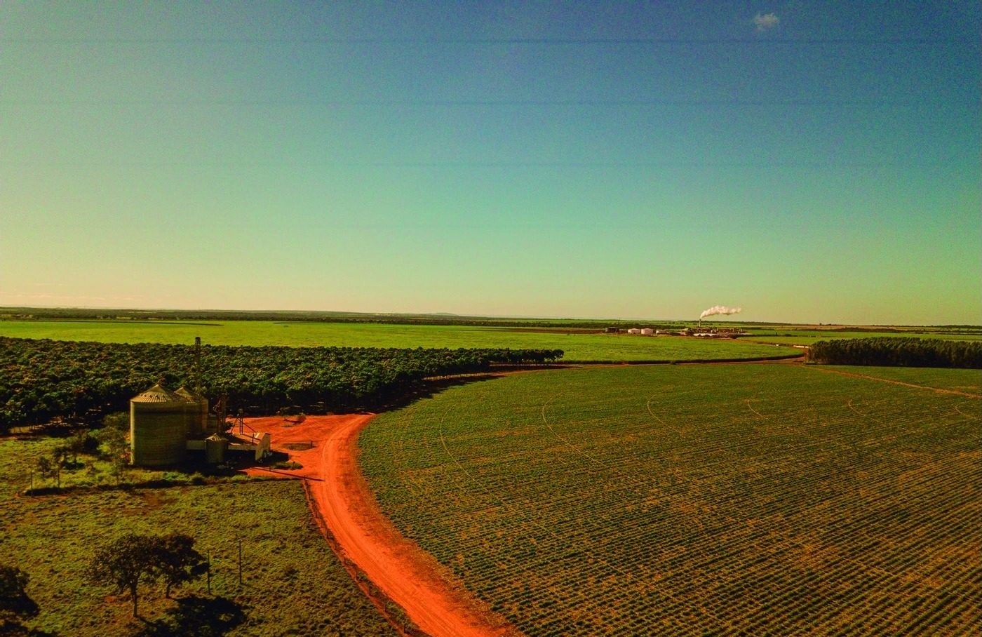 Vista aérea de canavial em formação sob céu azul, com silo de grãos à esquerda, estrada de terra vermelha contornando a lavoura e, ao fundo, plantios de mogno africano e eucalipto