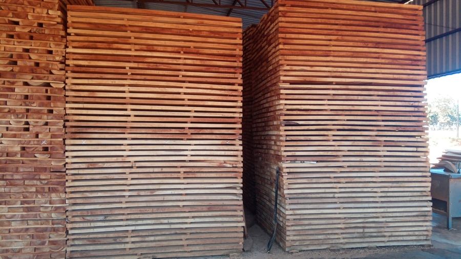 Pilhas de tábuas claras em secagem no galpão da madeireira